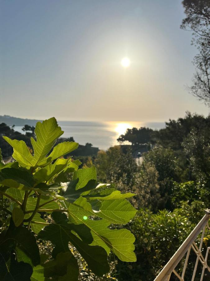 Limonaia In Salento Villa Marittima Exteriör bild