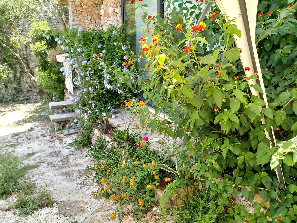 Limonaia In Salento Villa Marittima Exteriör bild