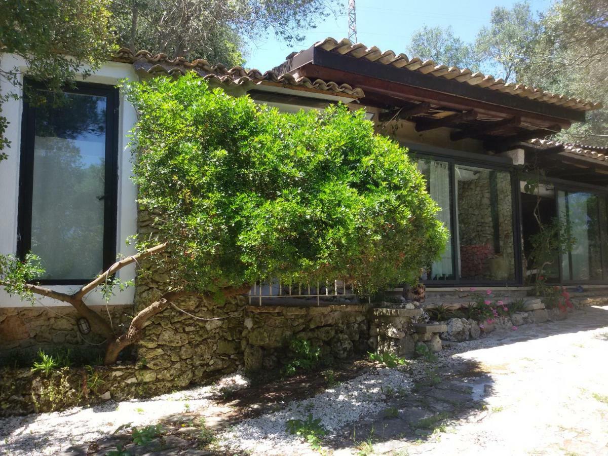 Limonaia In Salento Villa Marittima Exteriör bild